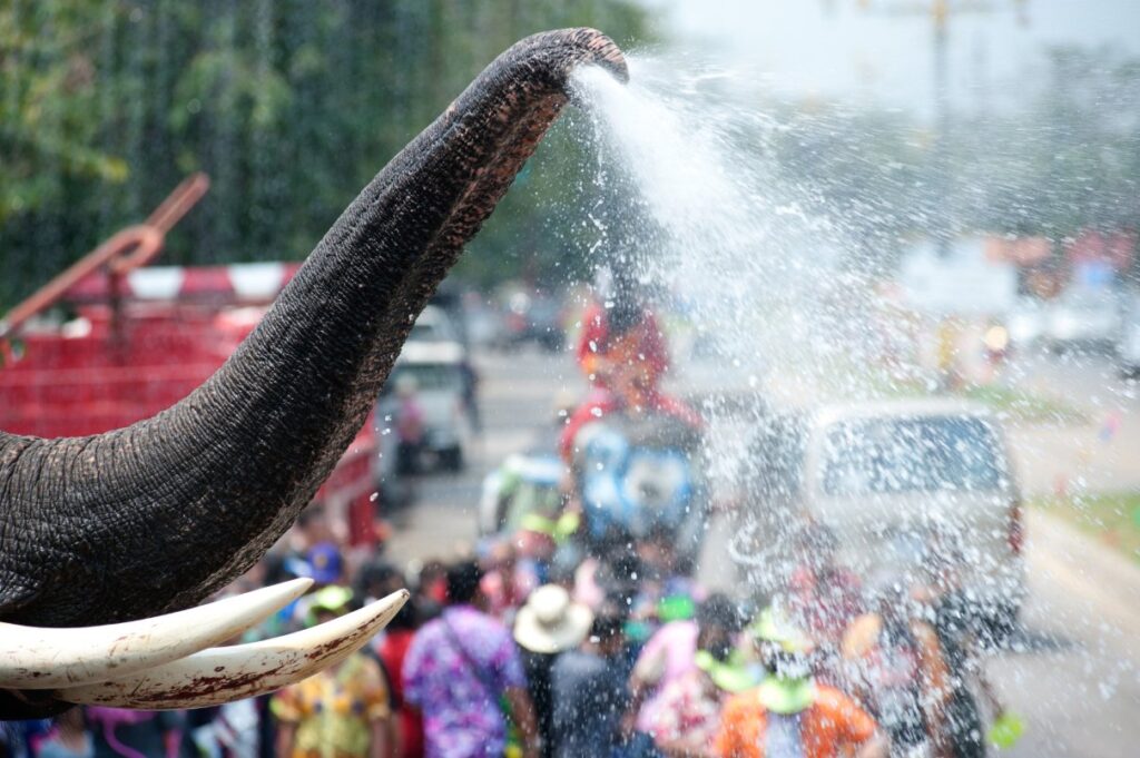 highlight of Chiang Mai Songkran 2024